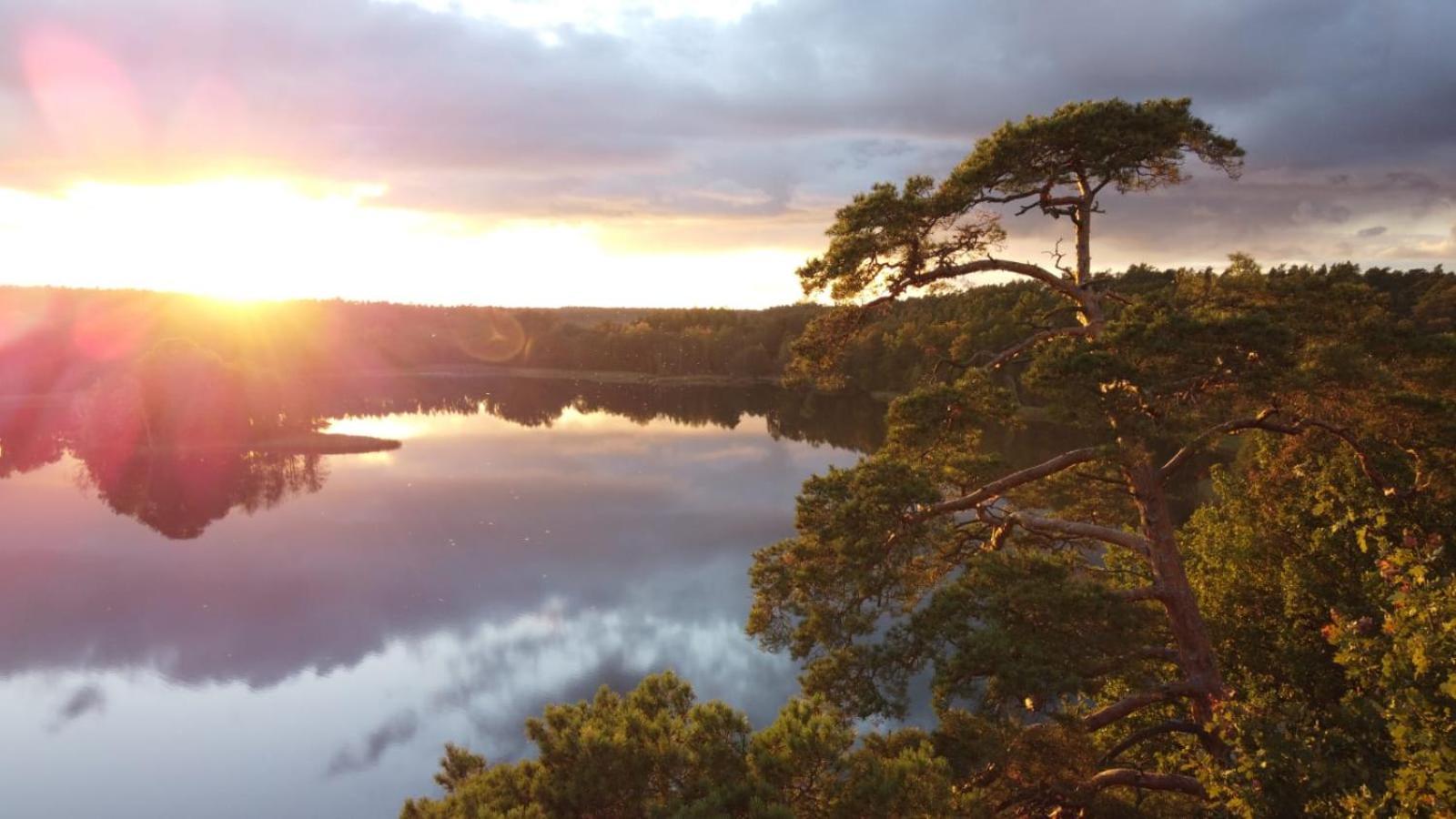 Ryteblota Resort & Spa Zbiczno Eksteriør bilde